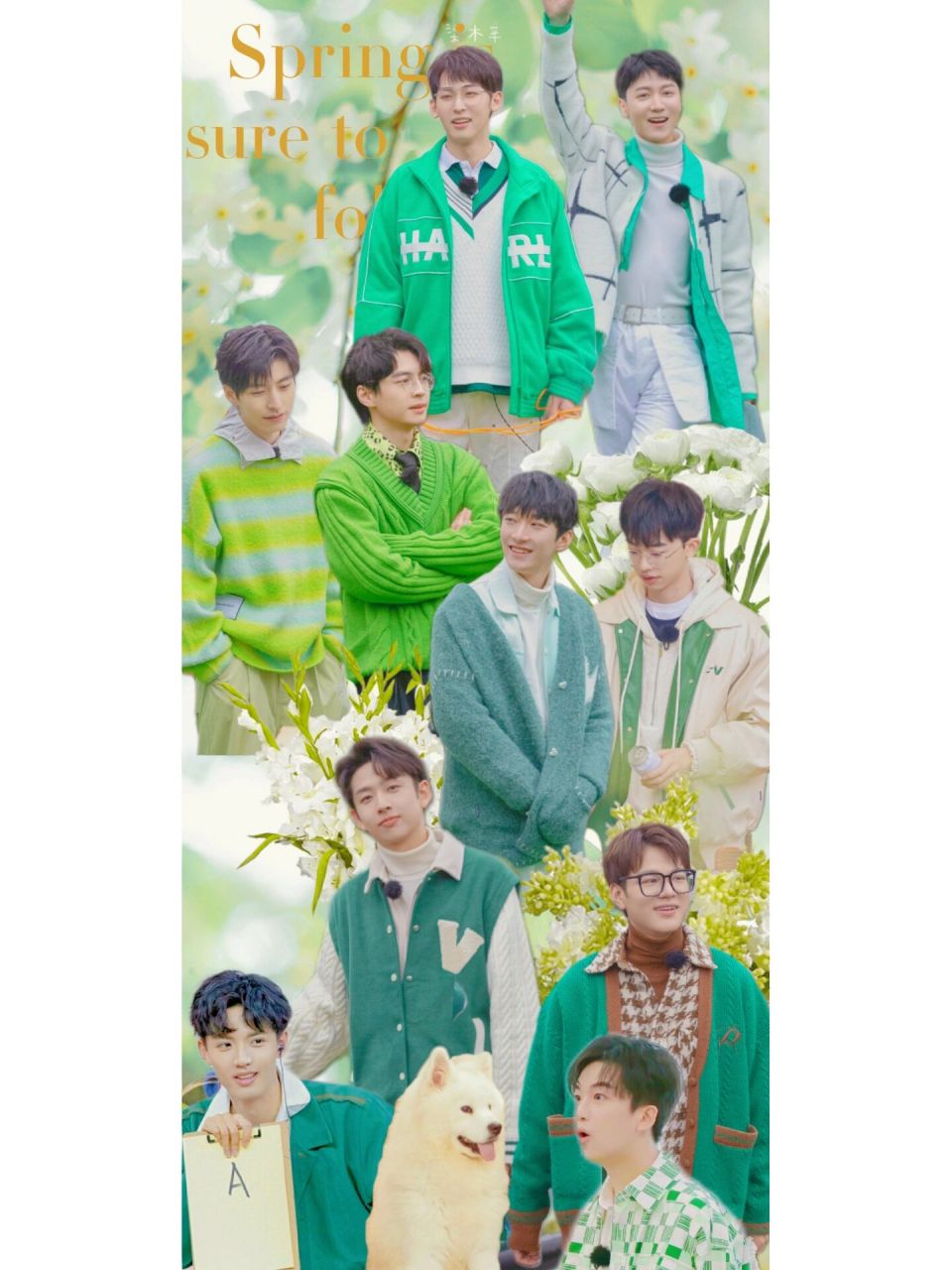 名侦探学院壁纸《春日愿》 本期壁纸来自中奖宝子 指定     kaka自制