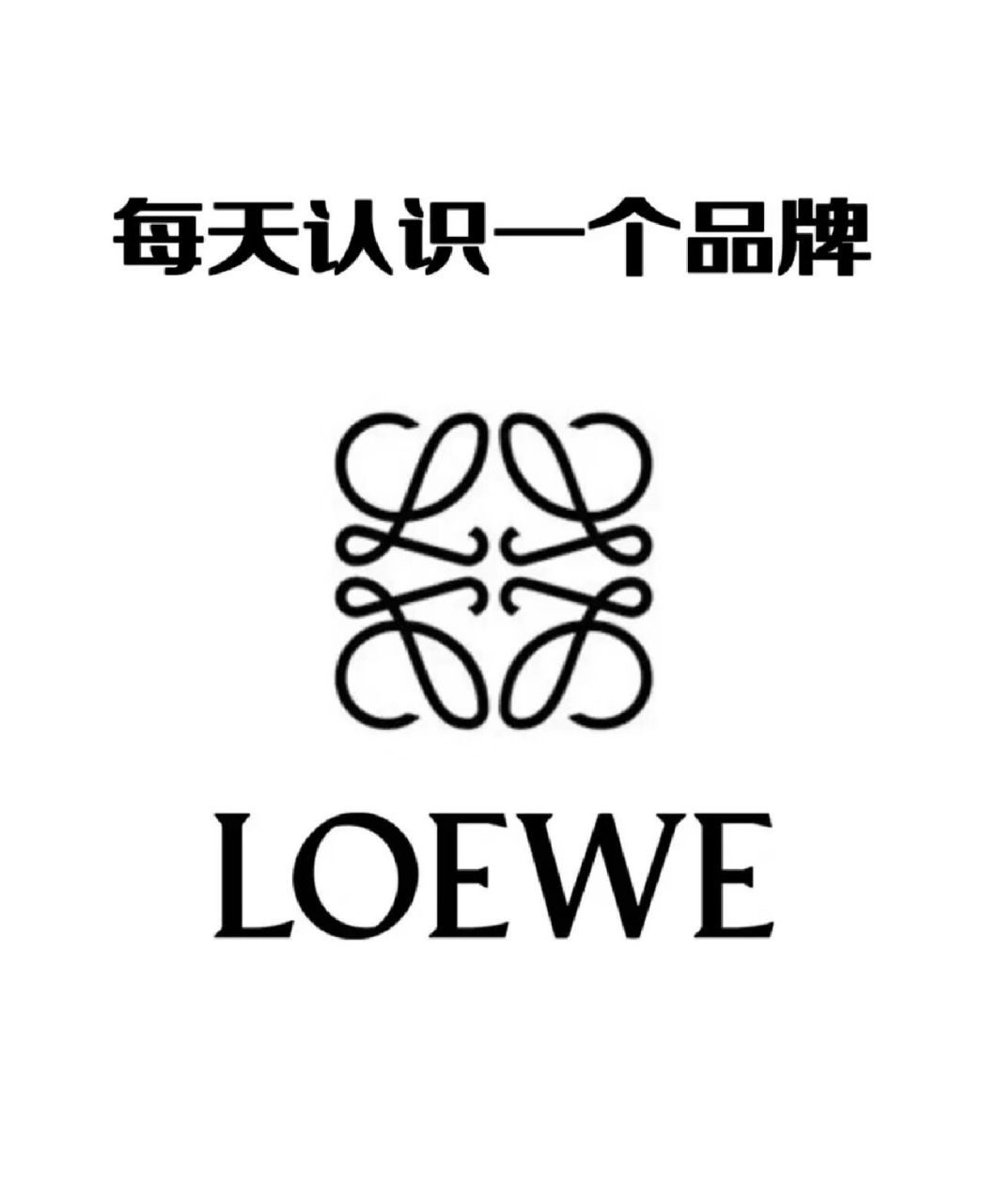 每天认识一个品牌—罗意威(loewe) 1,品牌简介 享誉国际的西班牙时装