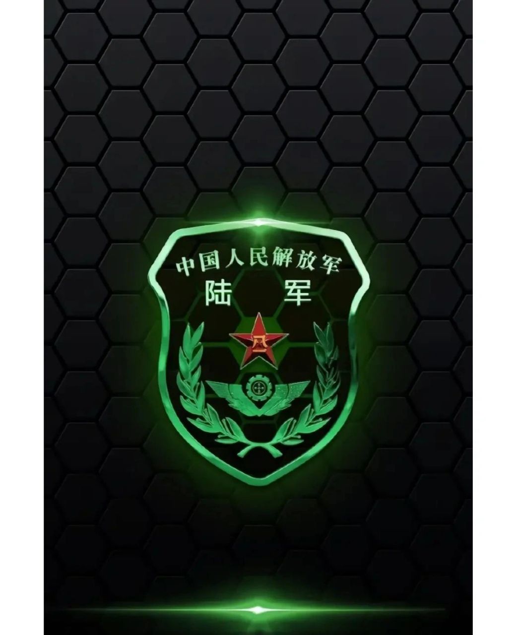 中国人民解放军肩章 中国人民解放军肩章