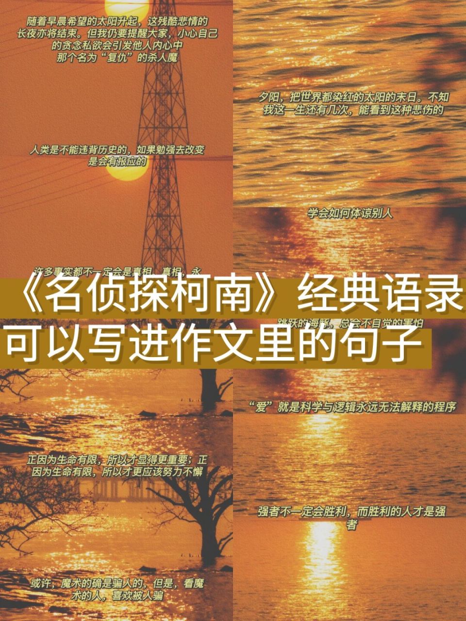 今天给大家分享的是名侦探语录,可以写进作文里的句子,大家一起来