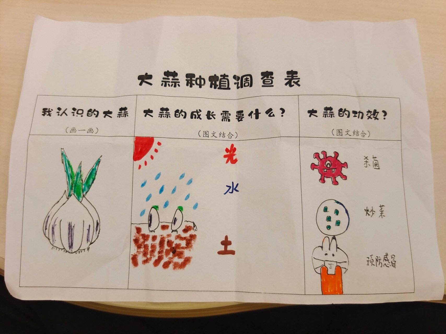 幼儿园植物种植调查表图片