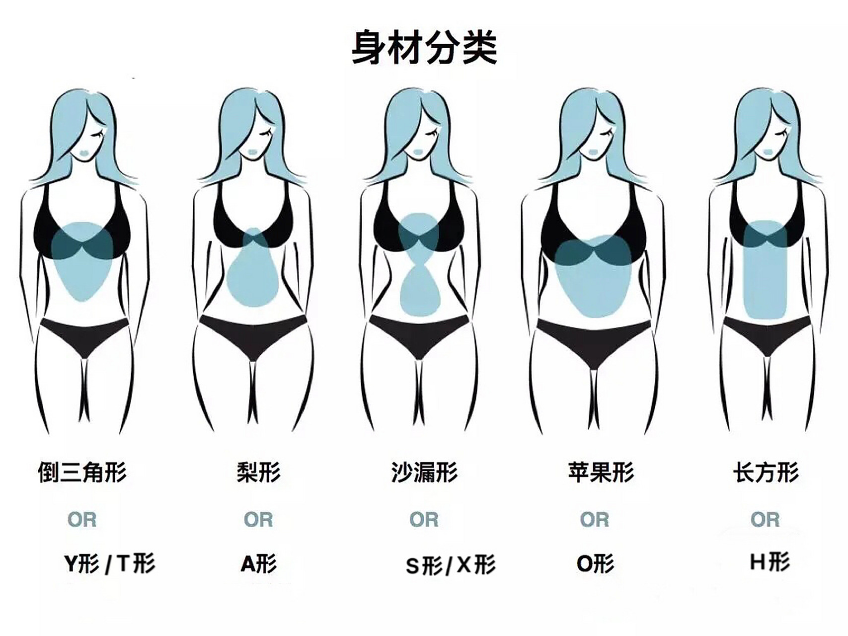 女性身材分类/身型判断/体型分类/建议收藏 集美们看过来,了解自己身