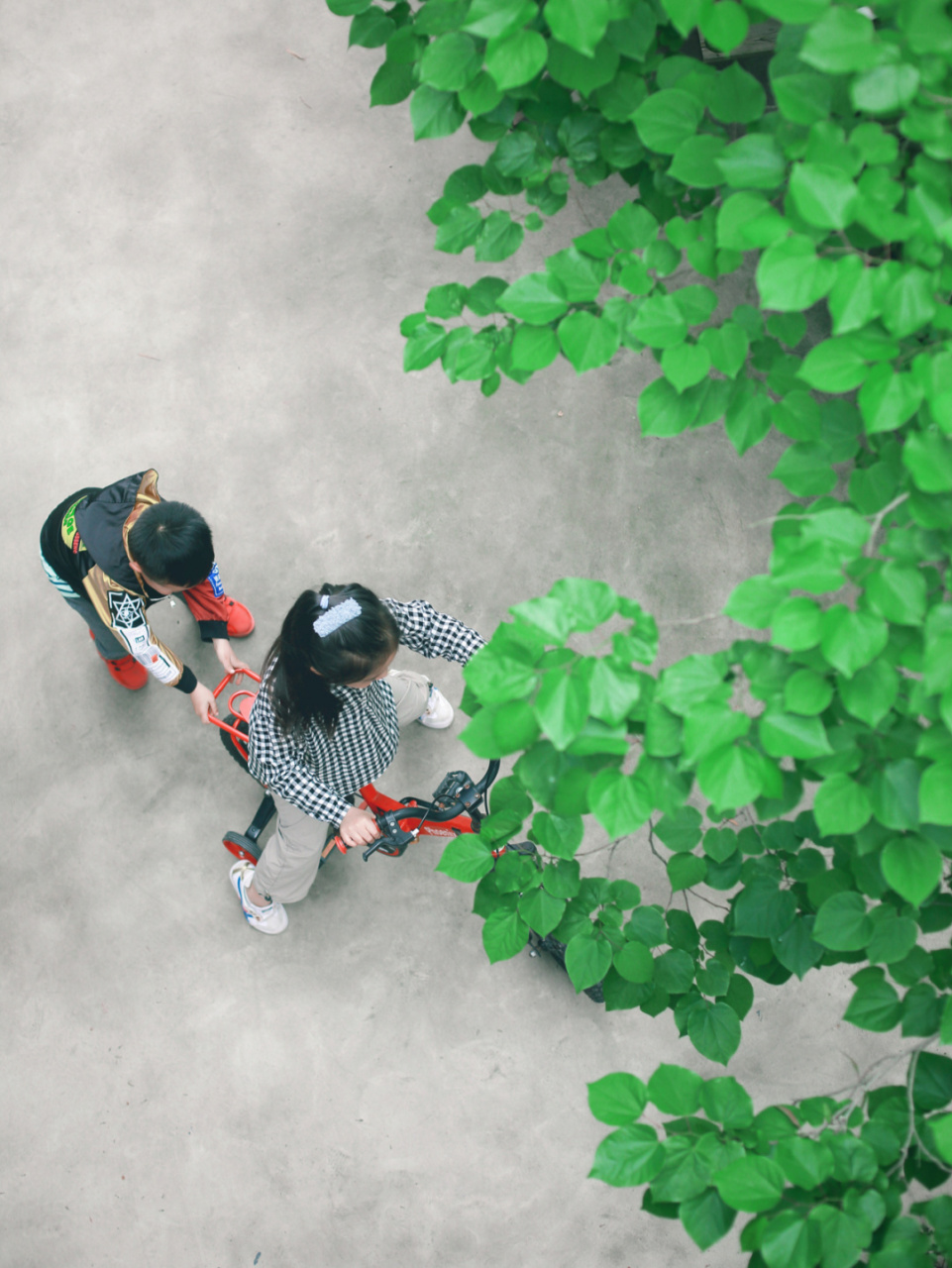 相亲相爱姐弟俩 #莫干山旅行