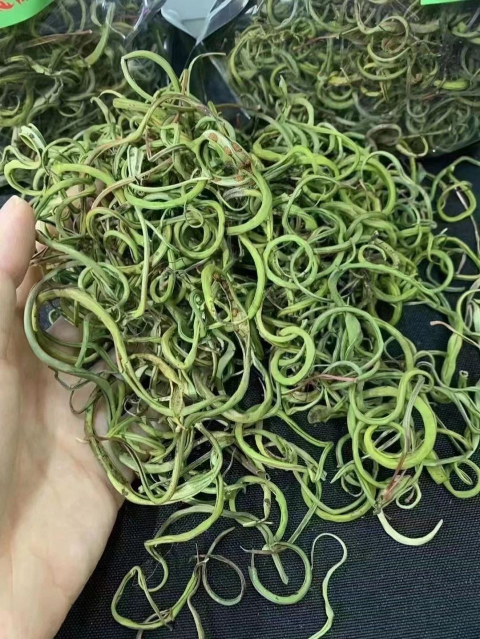 结石的克星——野生化石草 胆结石!肾结石!尿路结石!尿道炎!肾虚!