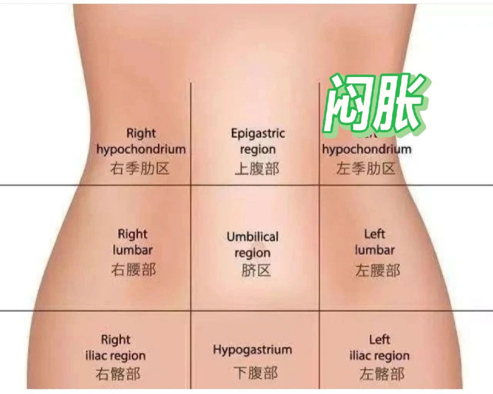 左边肋骨下闷胀!