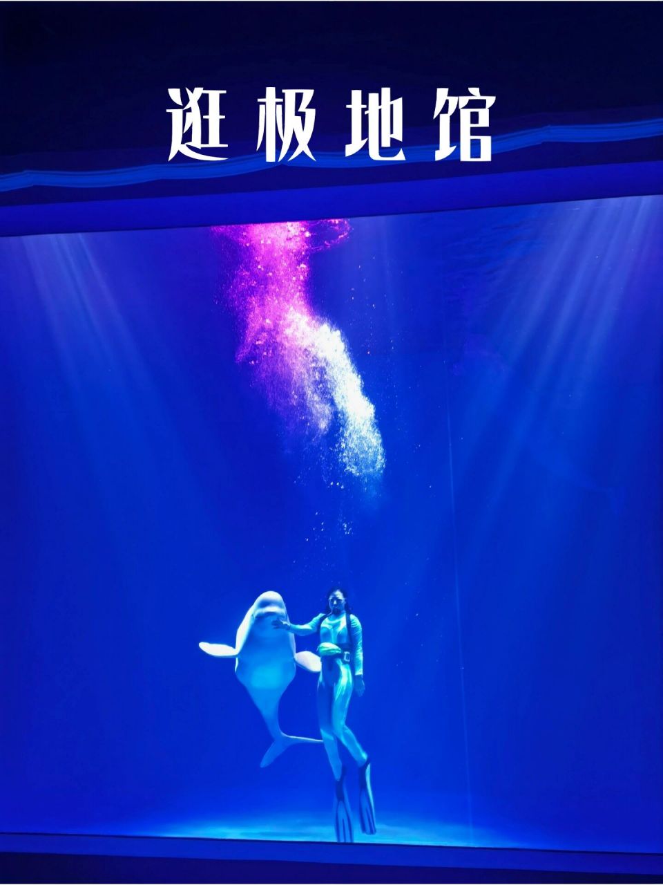 1低价门票6015       哈尔滨极地馆 海洋馆低价门票 随时出票极地