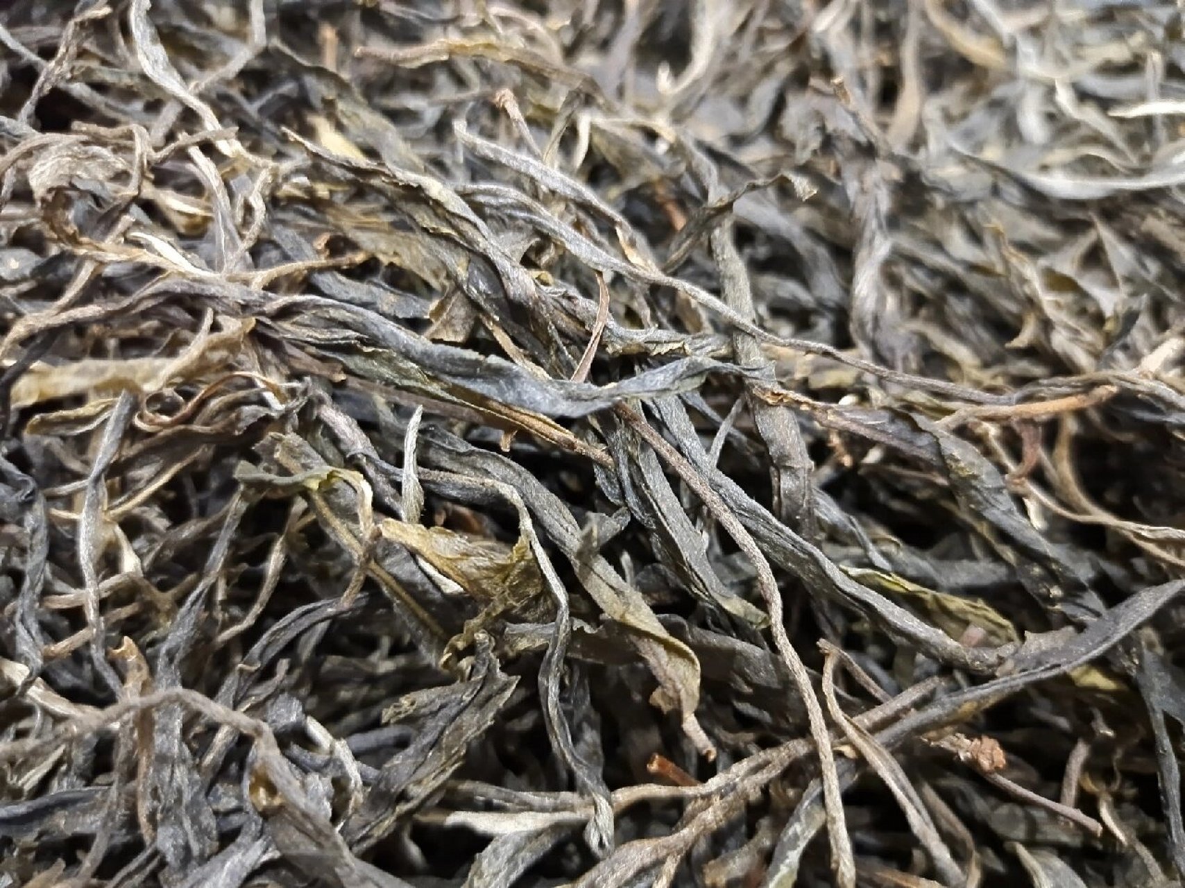 昔归古树茶 昔归也被称为临沧小班章,位于澜沧江畔,因此长年吸取着