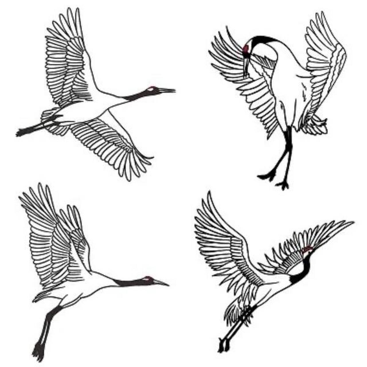 【简笔画】丹顶鹤