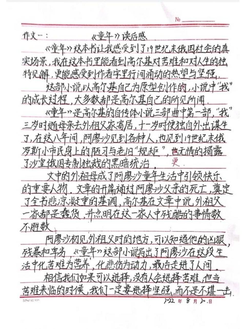 《童年》优秀读后感图片