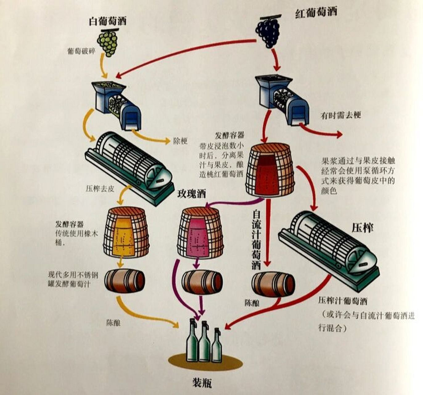 红酒工厂制作过程图片