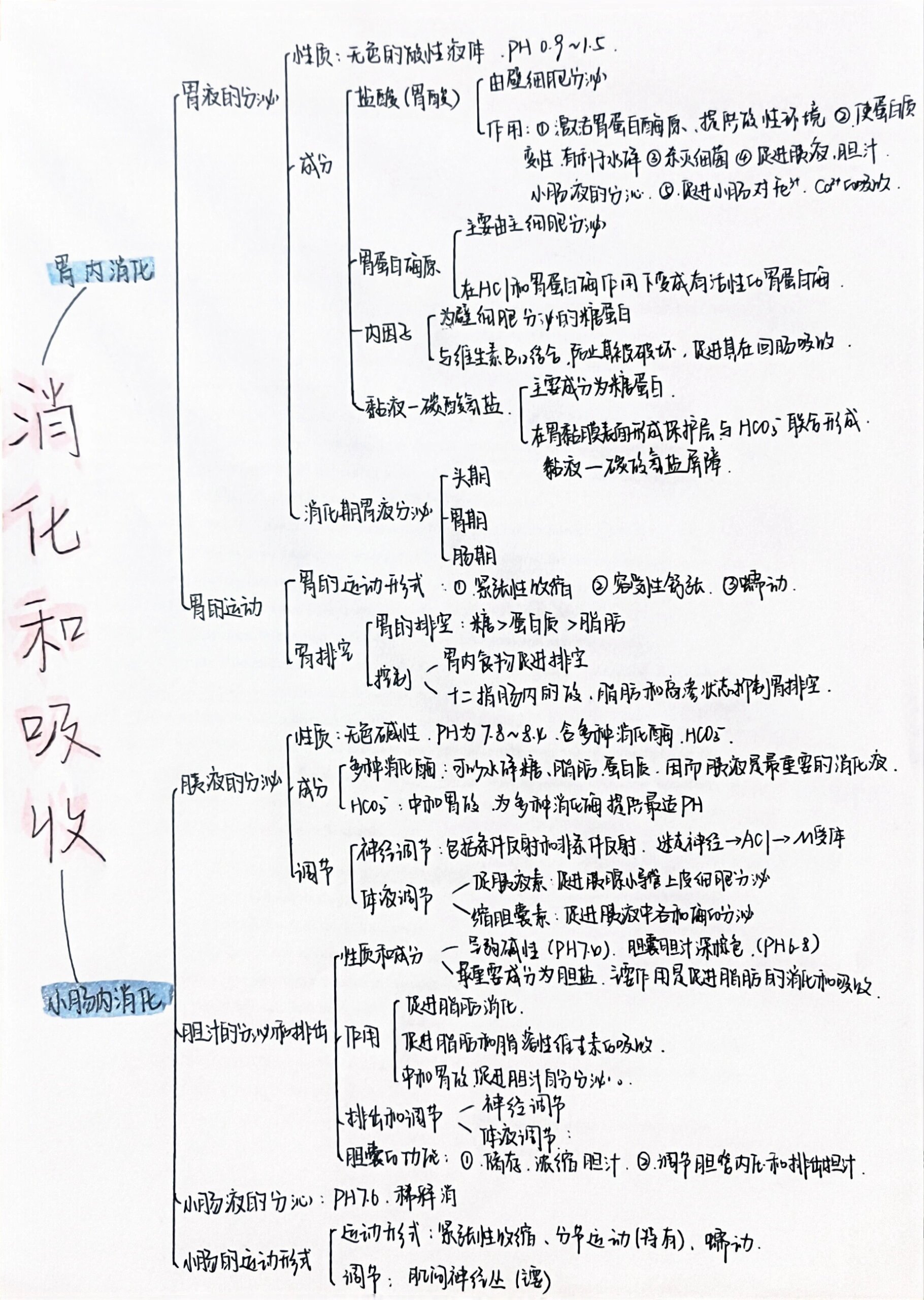 消化腺思维导图高清图片