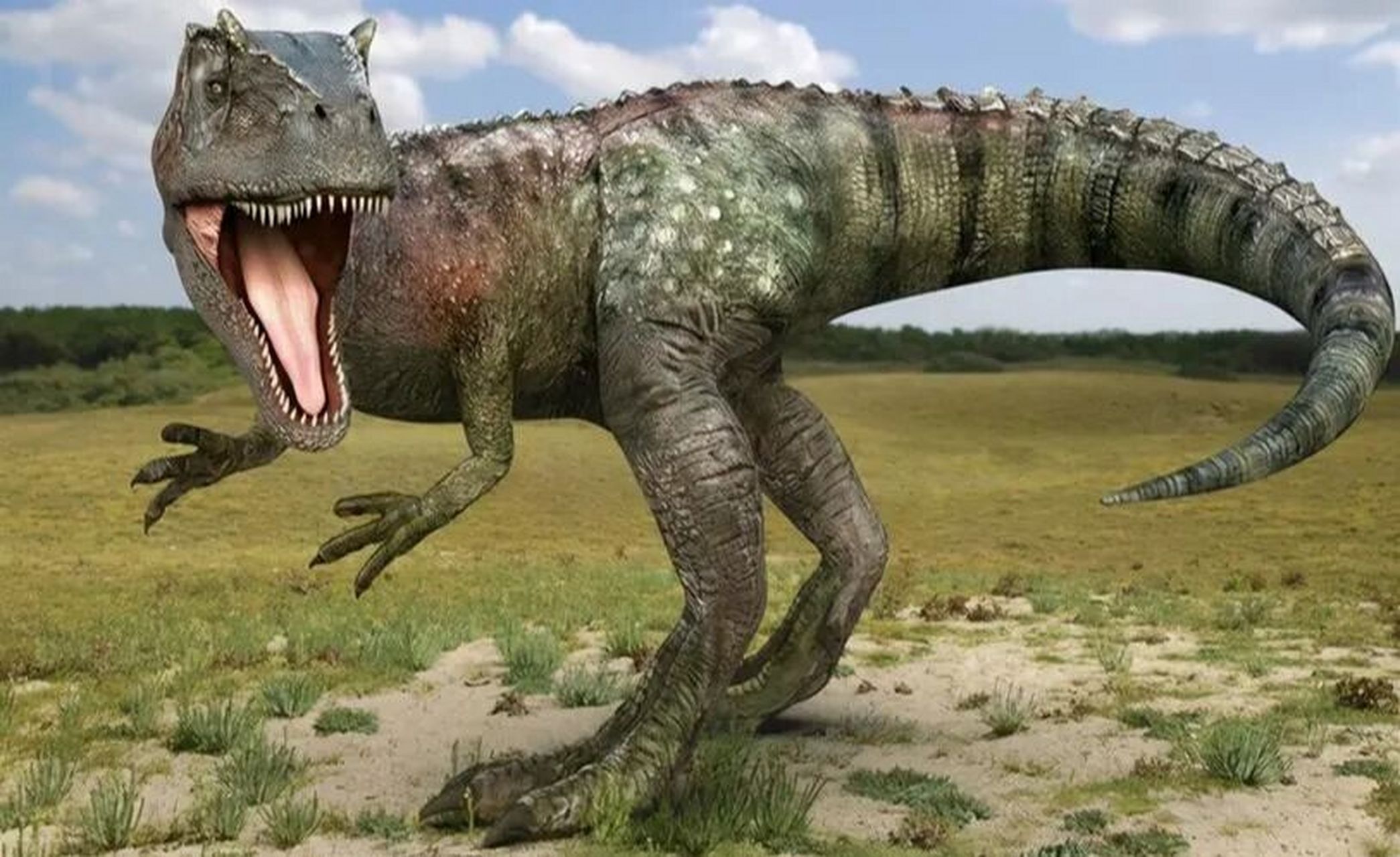 异特龙简介 异特龙是最著名的大型肉食性恐龙之一,占据晚侏罗世陆地生