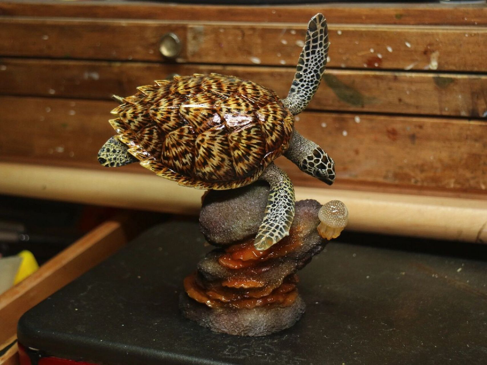 水母别跑 海龟:这小水母一看就好吃,肯定贼甜,跑不了!