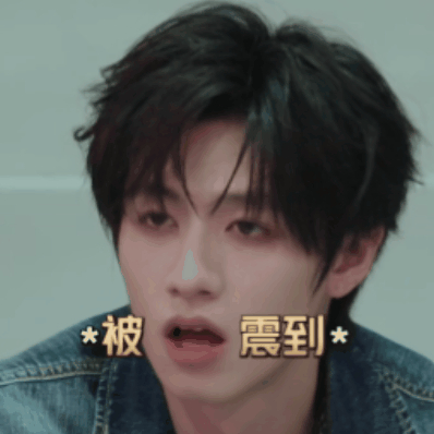 收获一波萌萌的top登陆少年组合战队的表情包