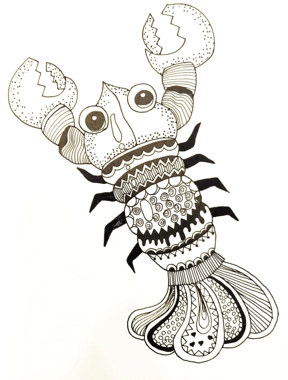 手绘92天|创意线描|动物篇|附过程图 动物系列 工具:水性笔,水彩笔