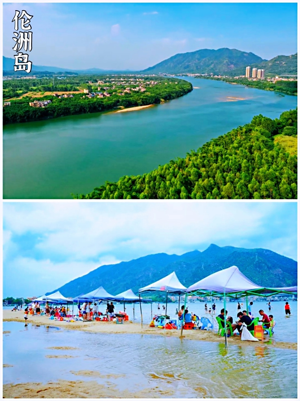 五一网红打卡|清远伦洲岛 伦洲岛, 是四面环水的内河冲积而成的冲积岛