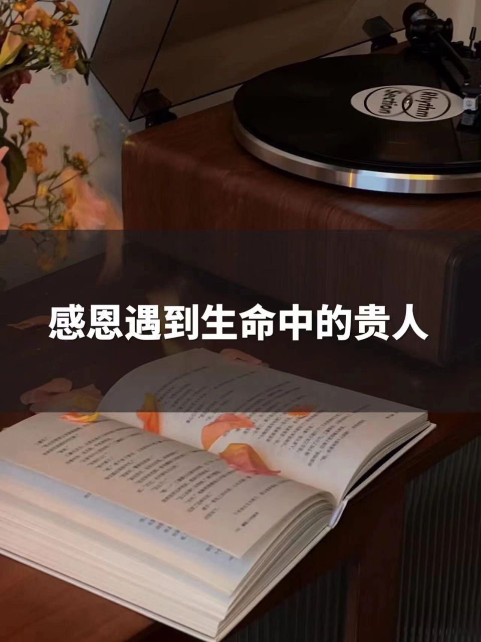 感恩遇到生命中的贵人|向上社交·敢于破圈 上一篇我的《裸辞后,我