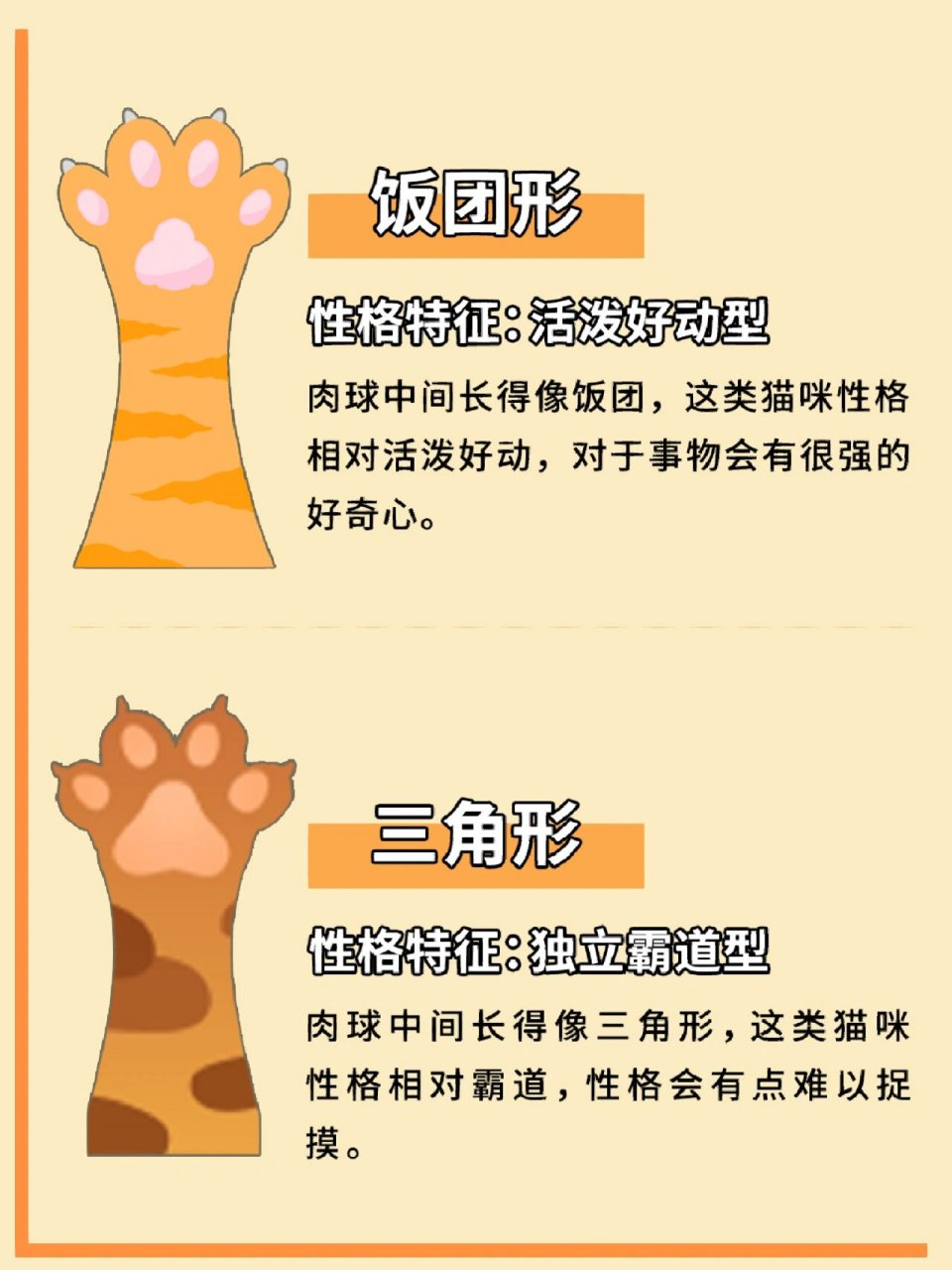 猫咪肉垫看性格图图片