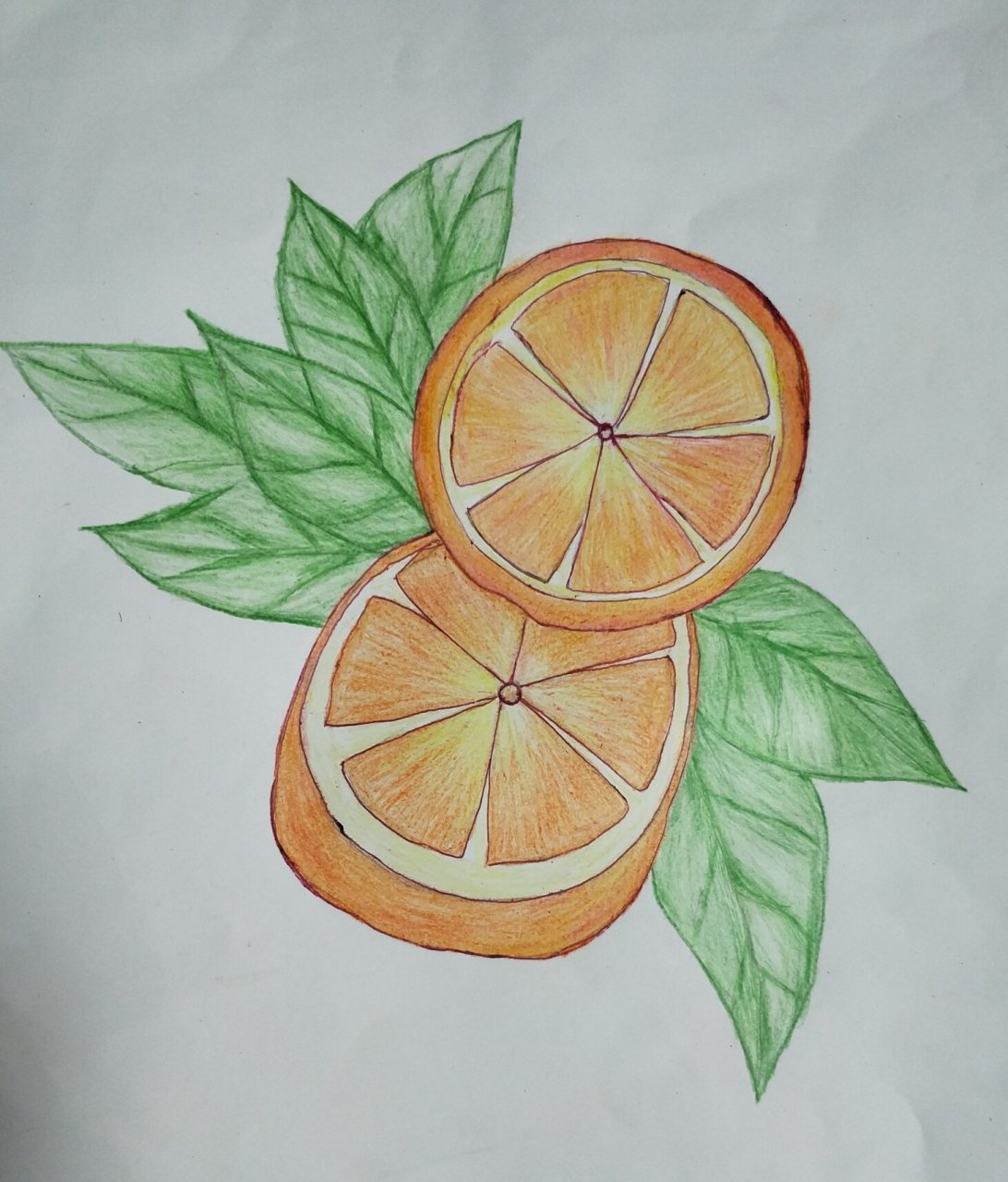 彩铅画《橘子》 少儿画,适合7至10岁小朋友学.
