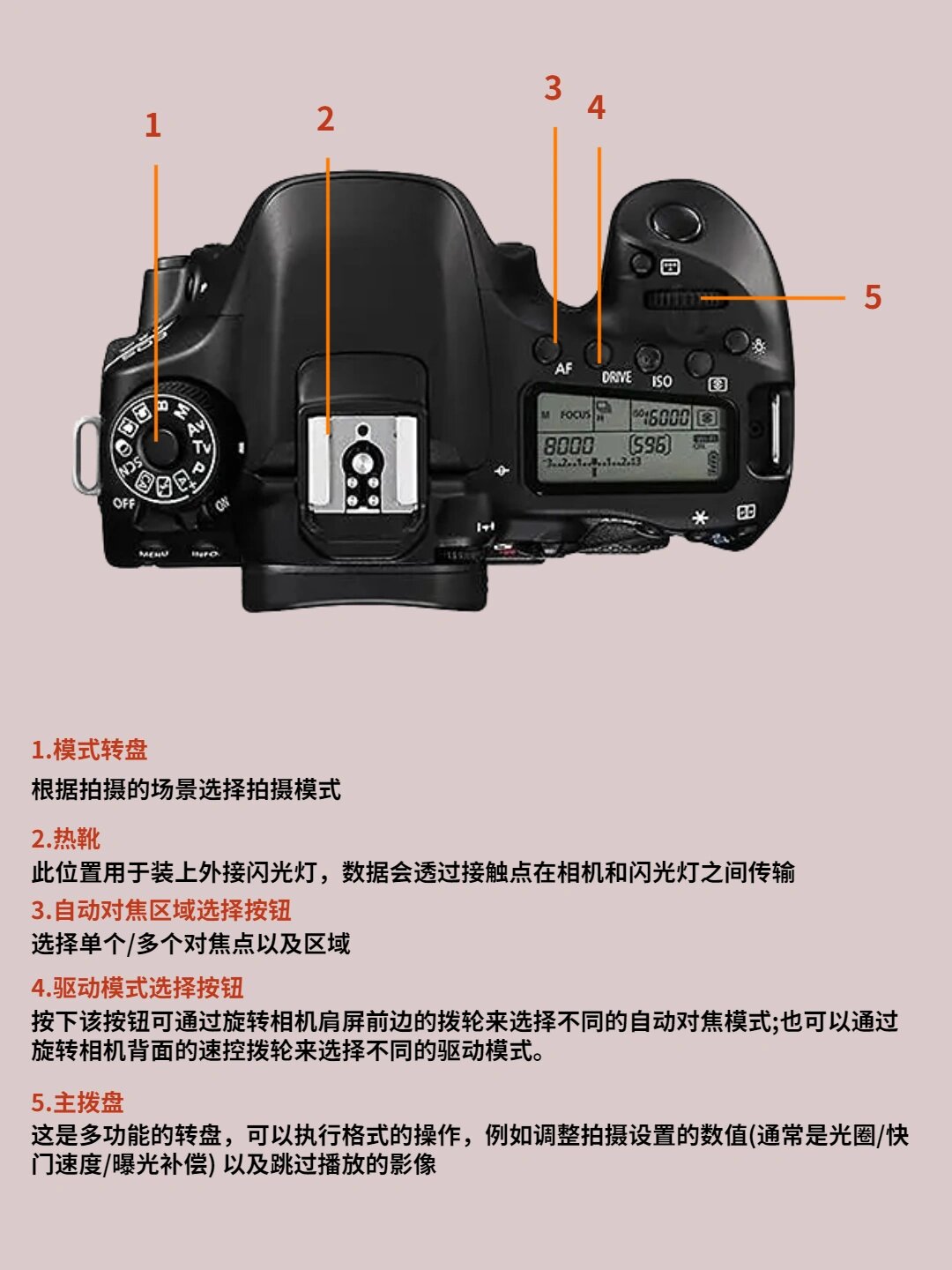 相机按键功能介绍图片图片