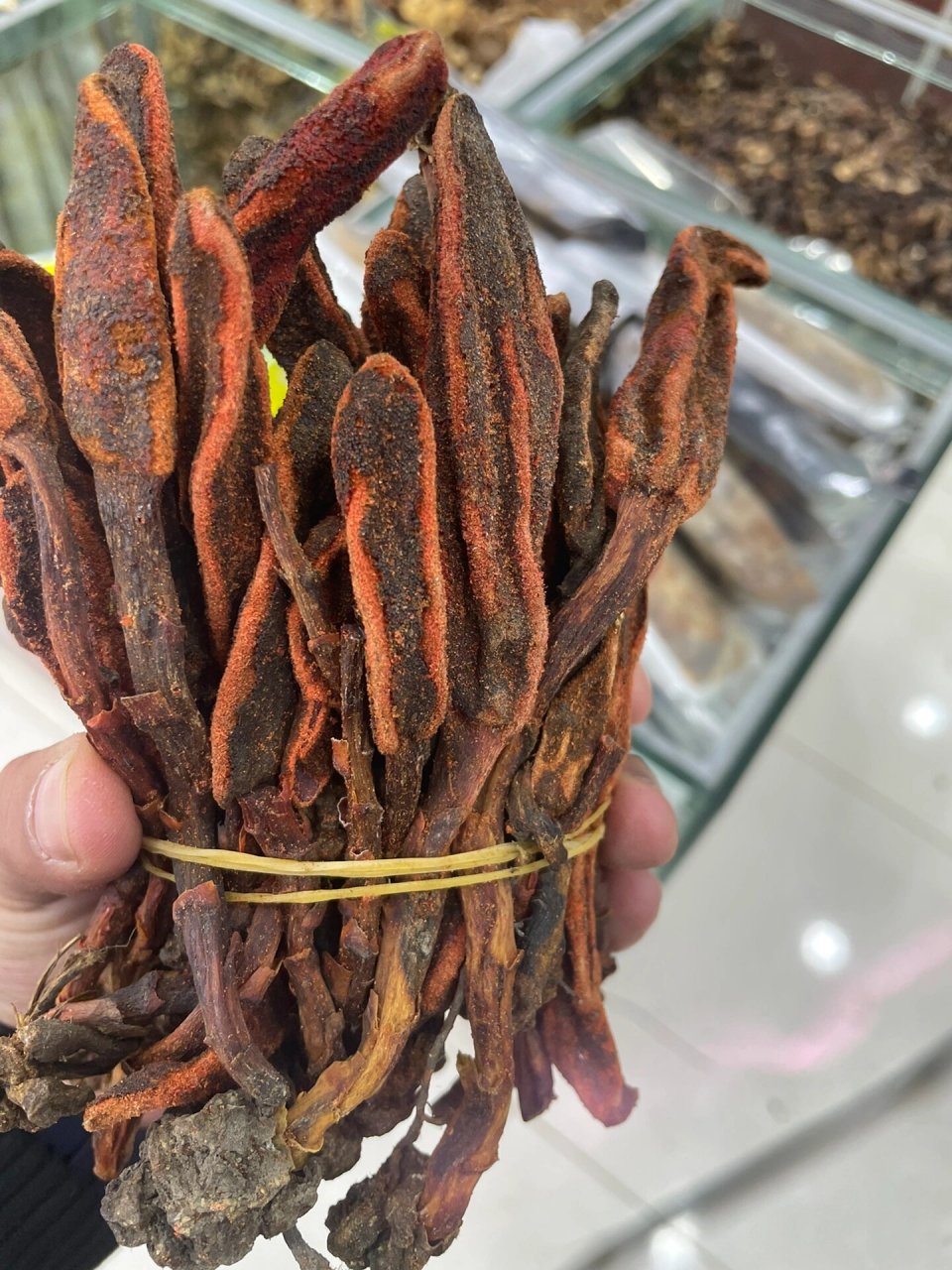 补肾壮阳,强身健体,静心安神 回春草是菊科泽菊属多年生草本植物,全株