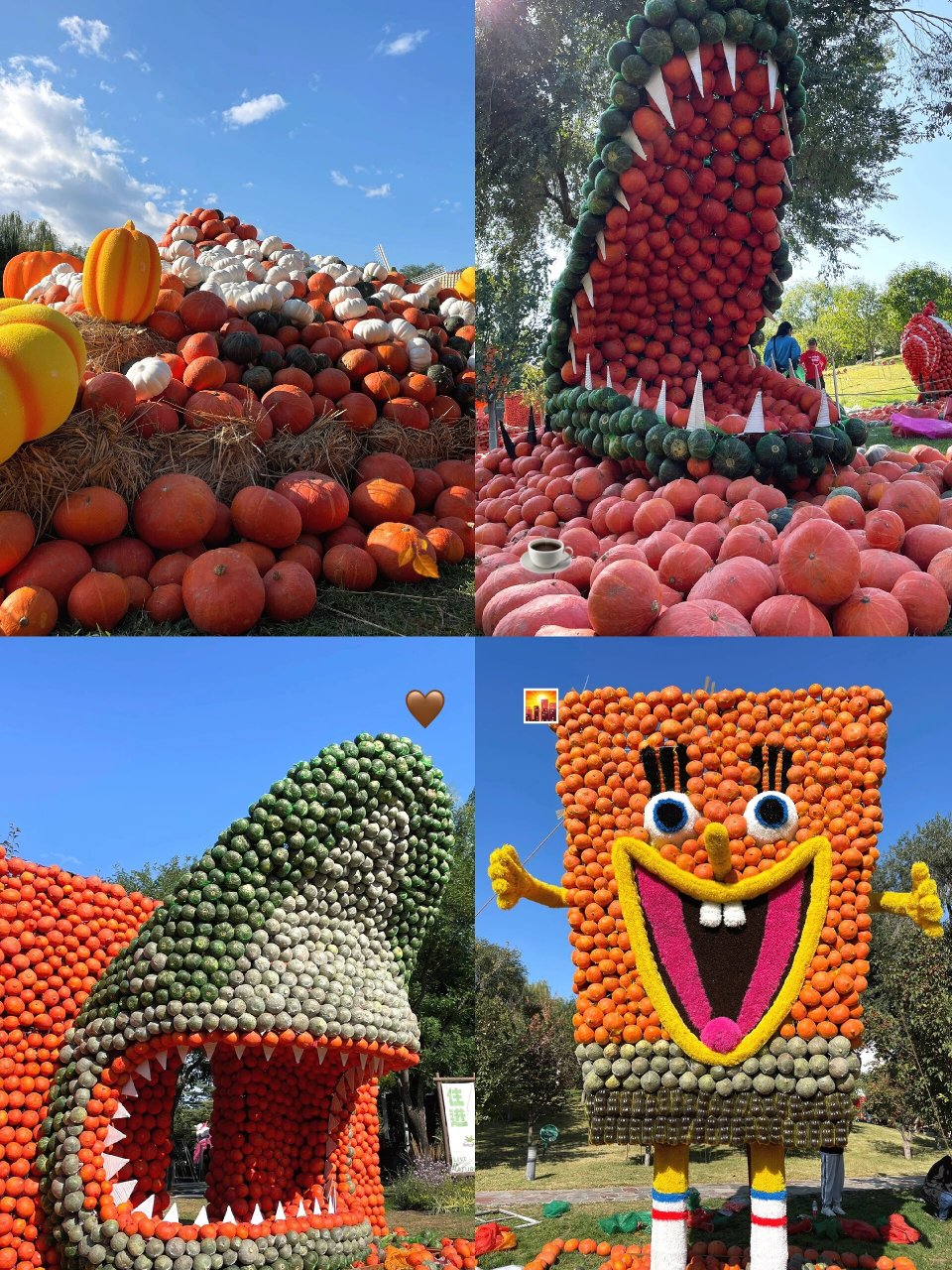 北京|来看巨型南瓜艺术王国 二十万个南瓜打造的艺术王国 有狮子03