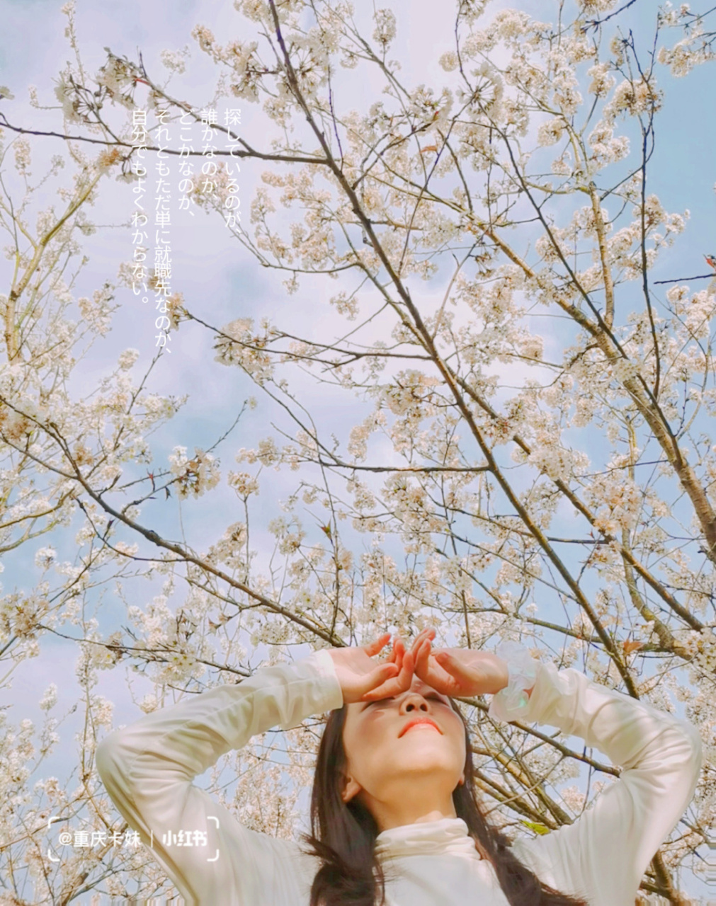 重庆赏樱|璧山八塘云雾山樱花谷 94 早樱和冬天告别,和春天相拥!