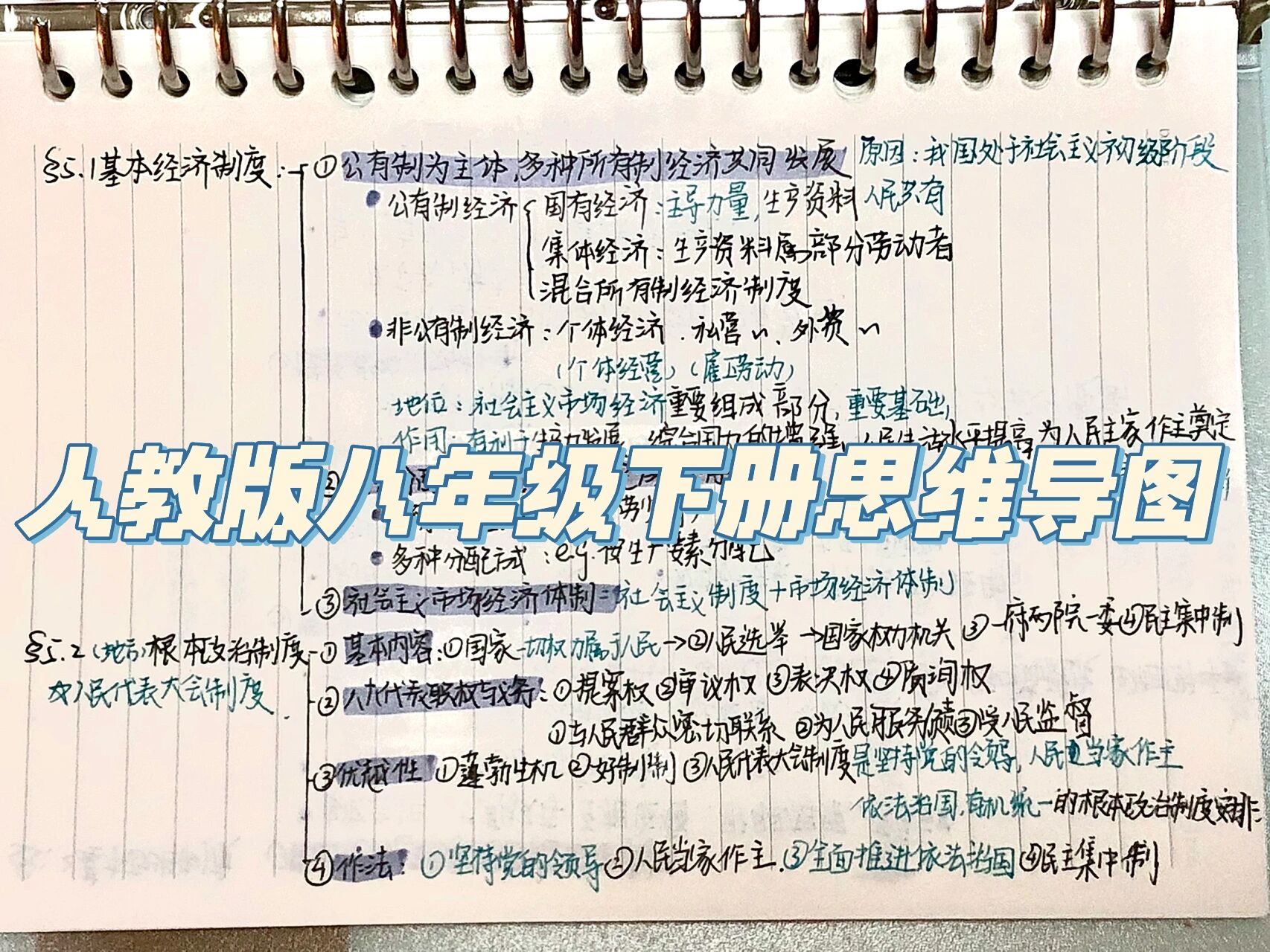 
道法反思八下
  第1张