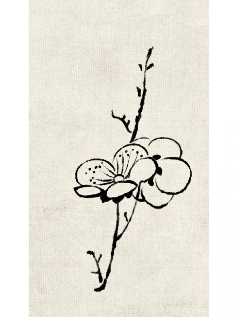 白描梅花 临了两张