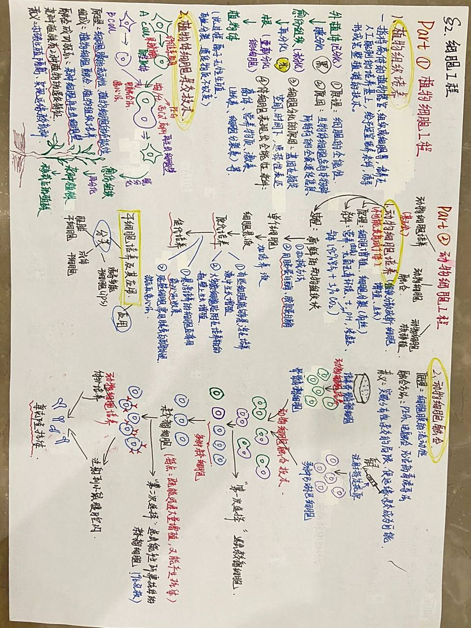 高中生物选修三思维导图 第二章 细胞工程写思维导图真的超累但是写完