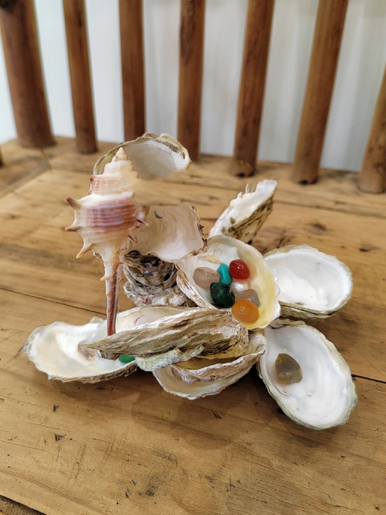 生蚝壳大变身!你喜欢哪个?