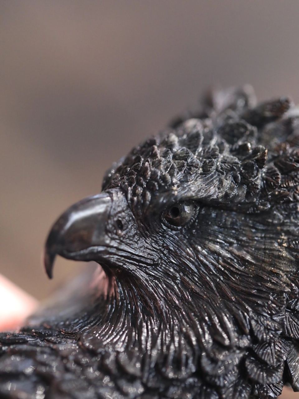 角雕的体型可比影视里雕的体型大多了.