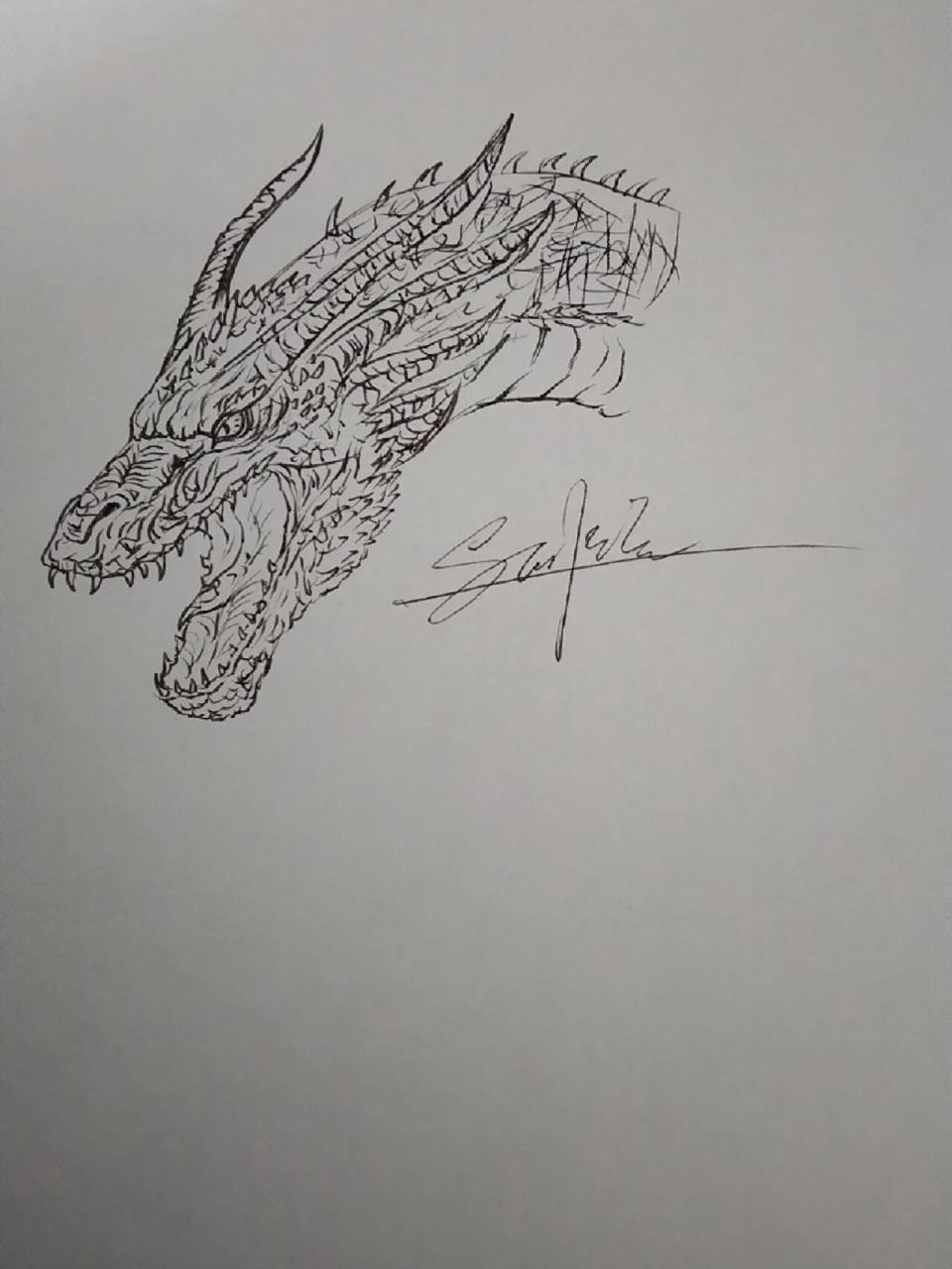 手绘基多拉 给我弟弟画一个基多拉,笔快没水了,画的不是很理想,求大佬