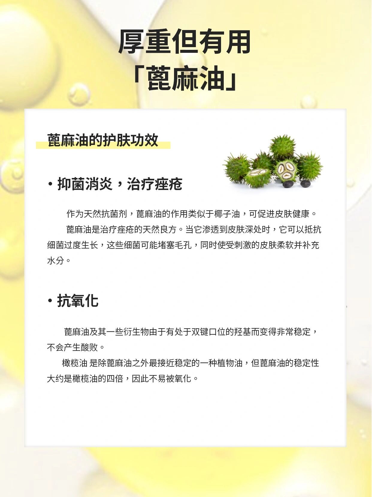 【成分科普】厚重但有用——蓖麻油 什么是蓖麻油?