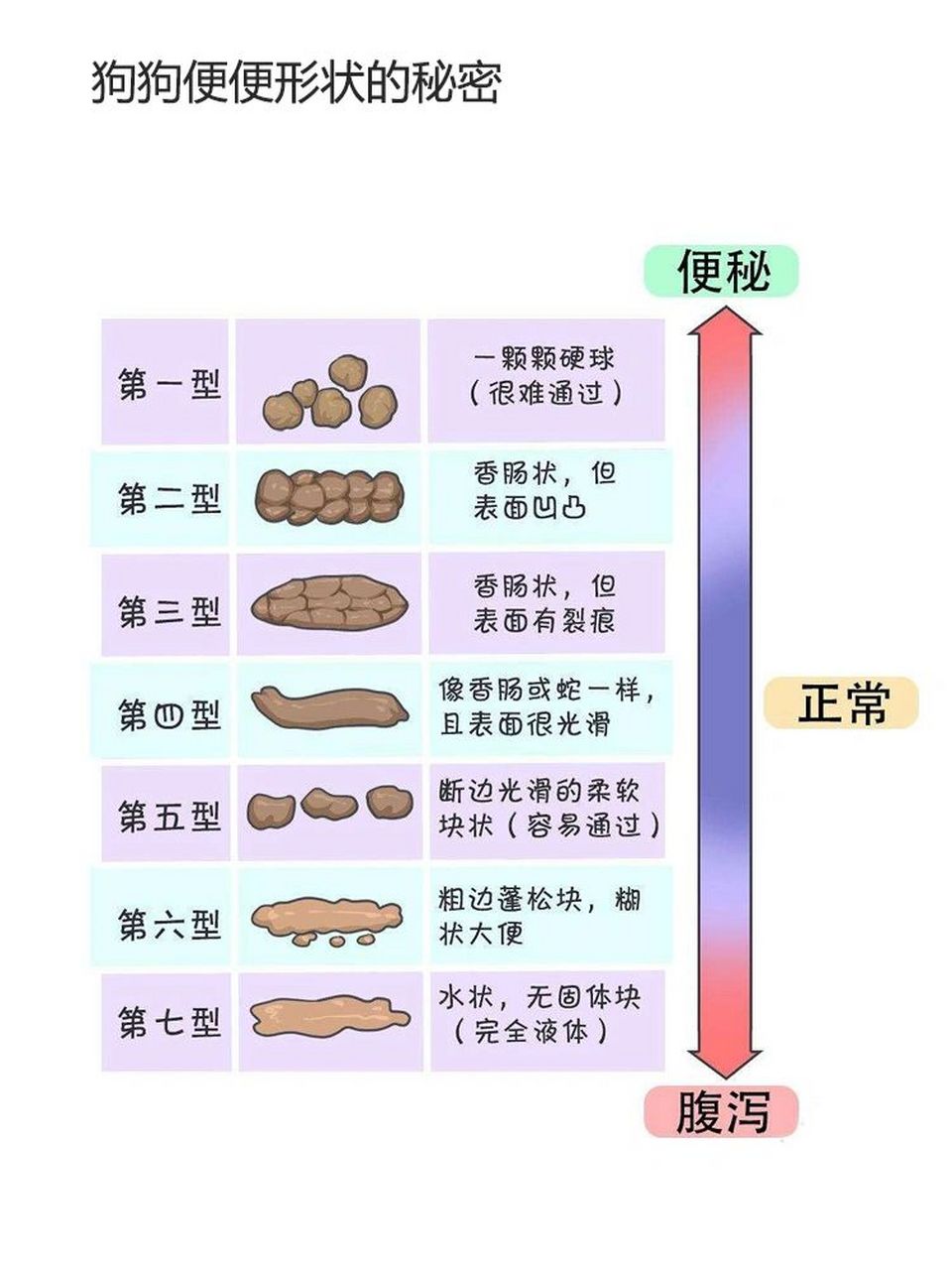 狗狗大便颜色分析图解图片