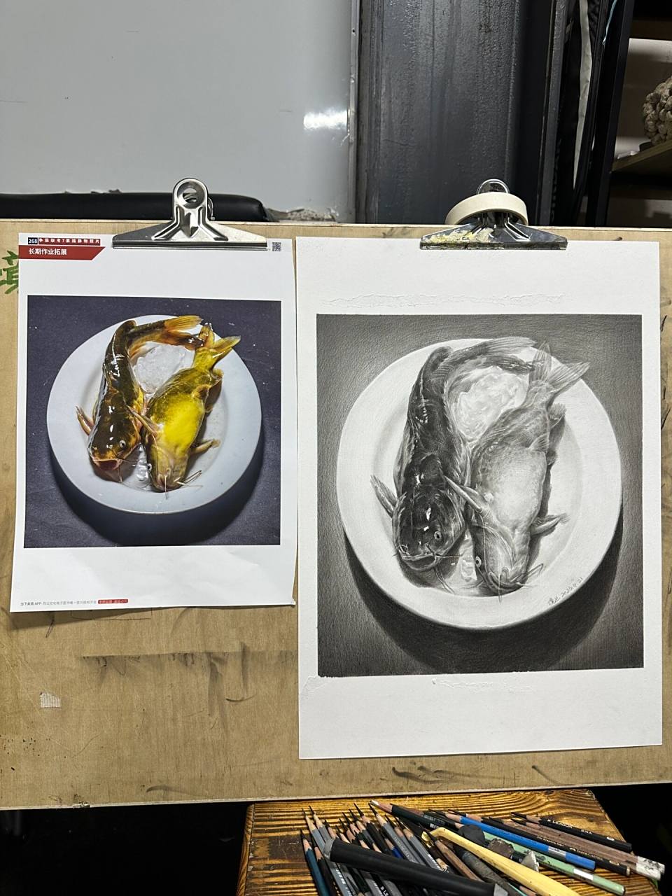 今天来一张黄骨鱼素描静物示范