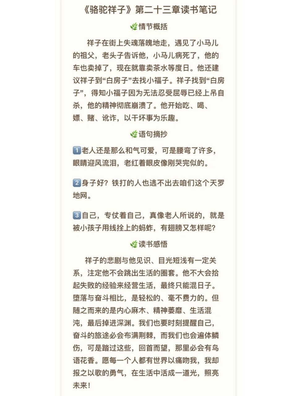 骆驼祥子小马年龄图片