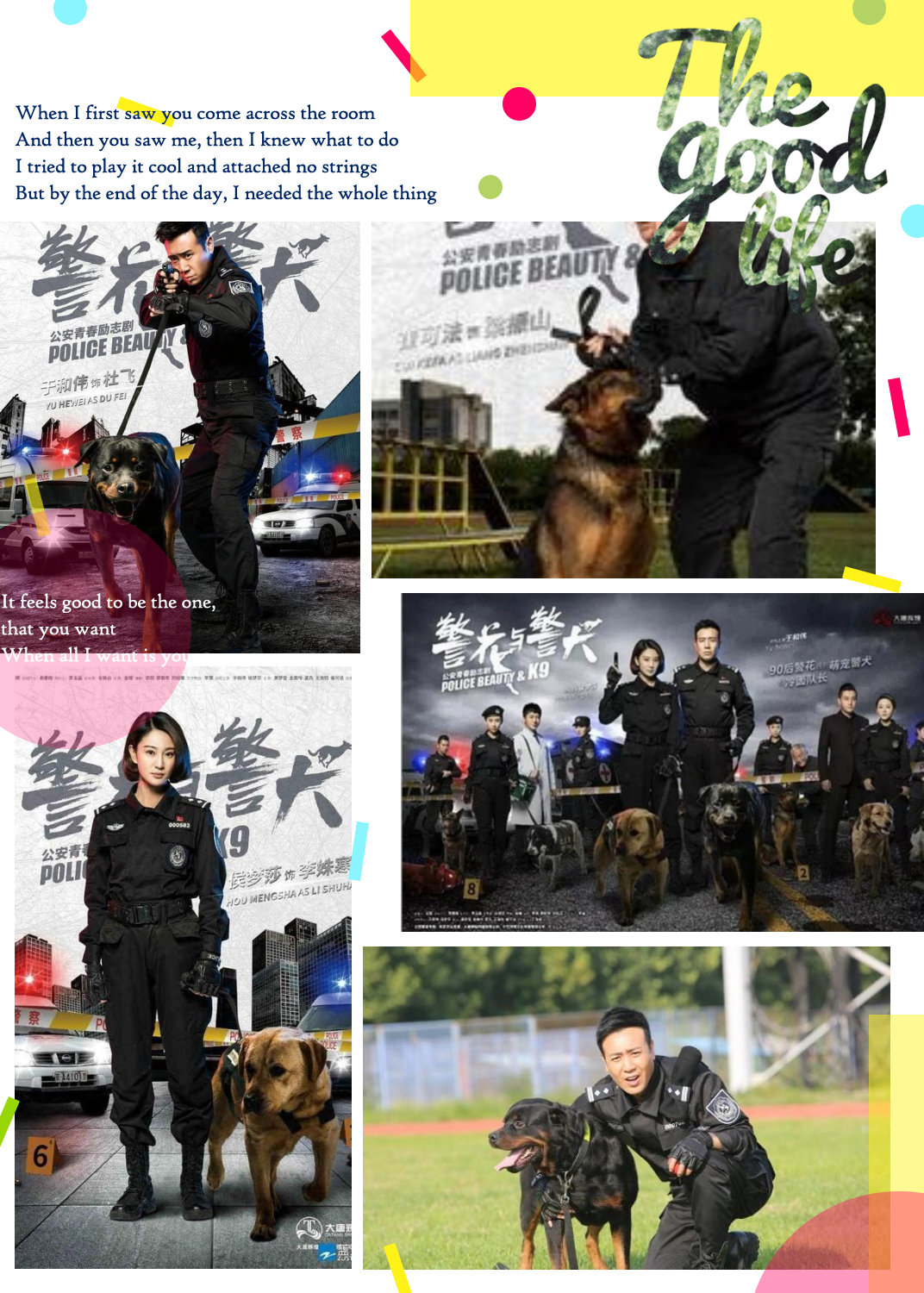 警花与警犬警犬大赛图片