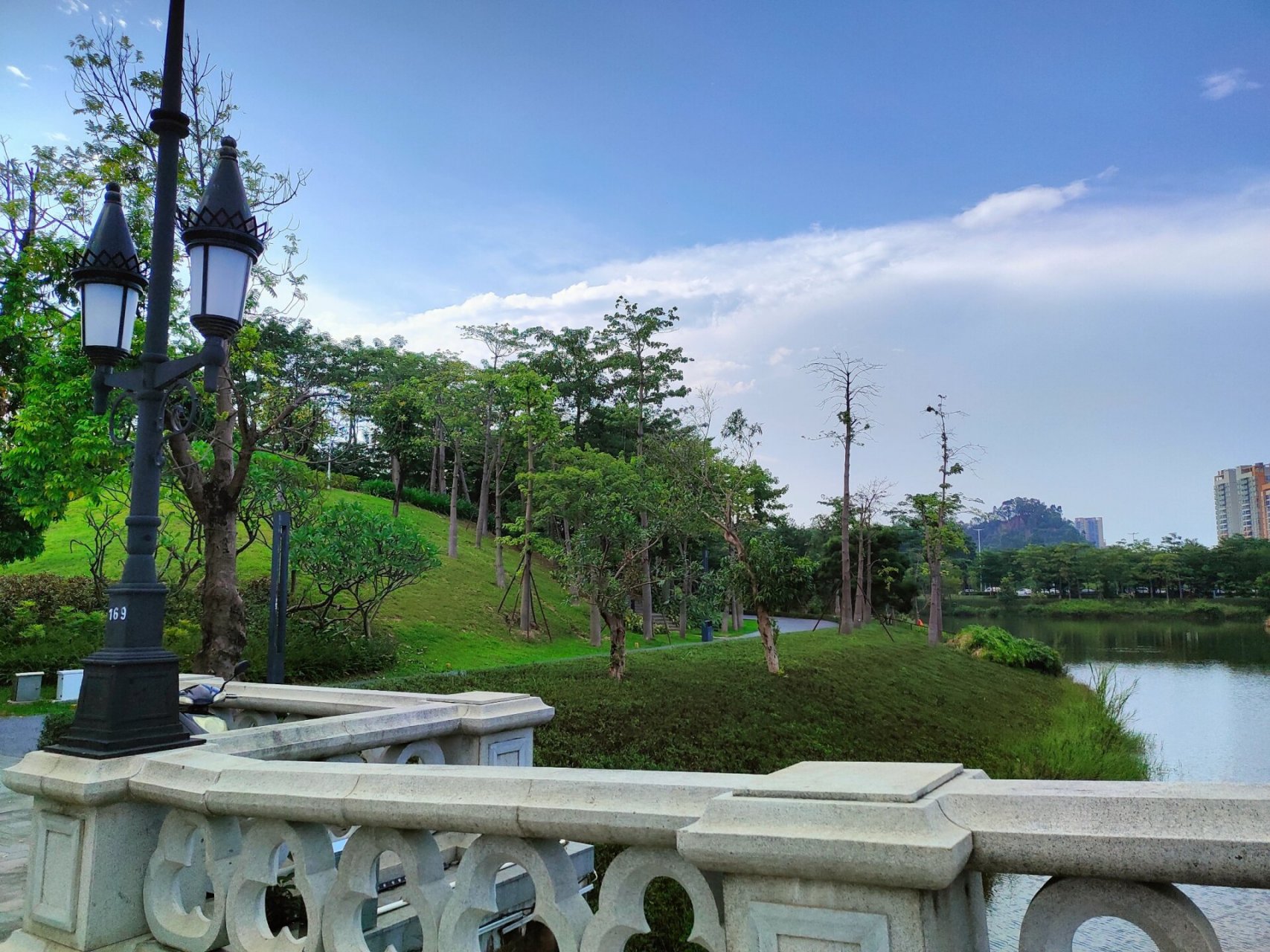 东莞常平常新公园   东部中心医院附近,东田丽园附近