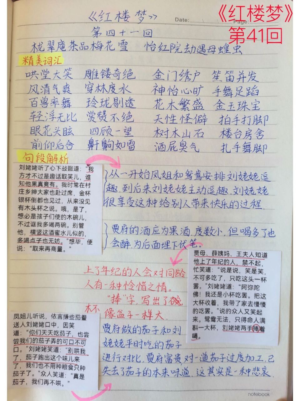 《红楼梦》第41回读书笔记 栊翠庵茶品梅花雪  怡红院劫遇母蝗虫故事
