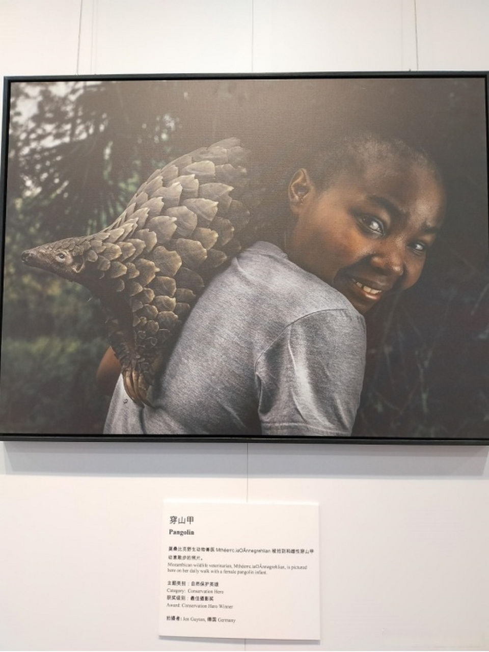 绿会副秘书长肖青应邀参加中-非生物多样性保护交流沙龙  2023年5月30