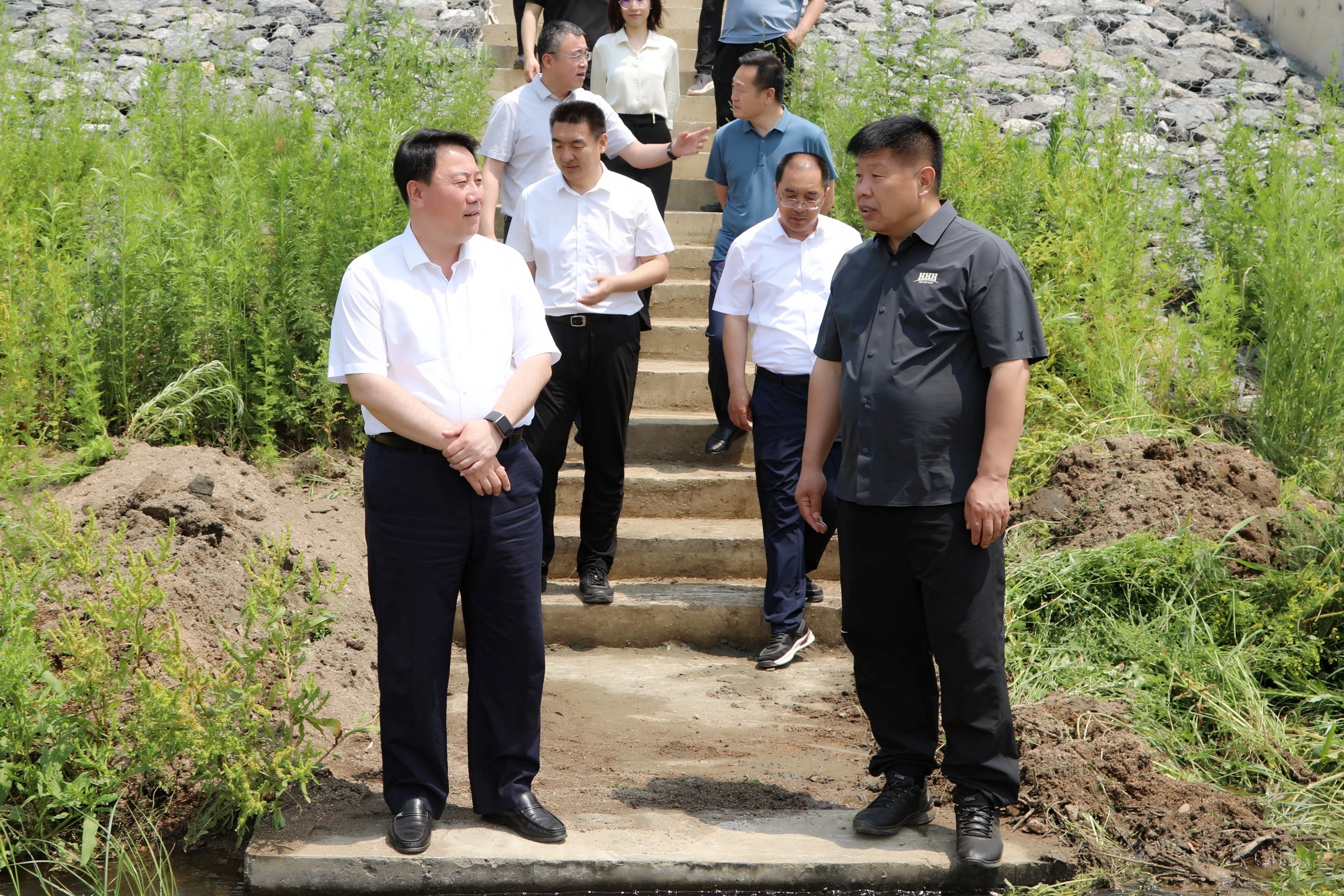 栾峰到陈相街道开展巡河并检查防汛工作,区领导雷雨,区政府办,水务局