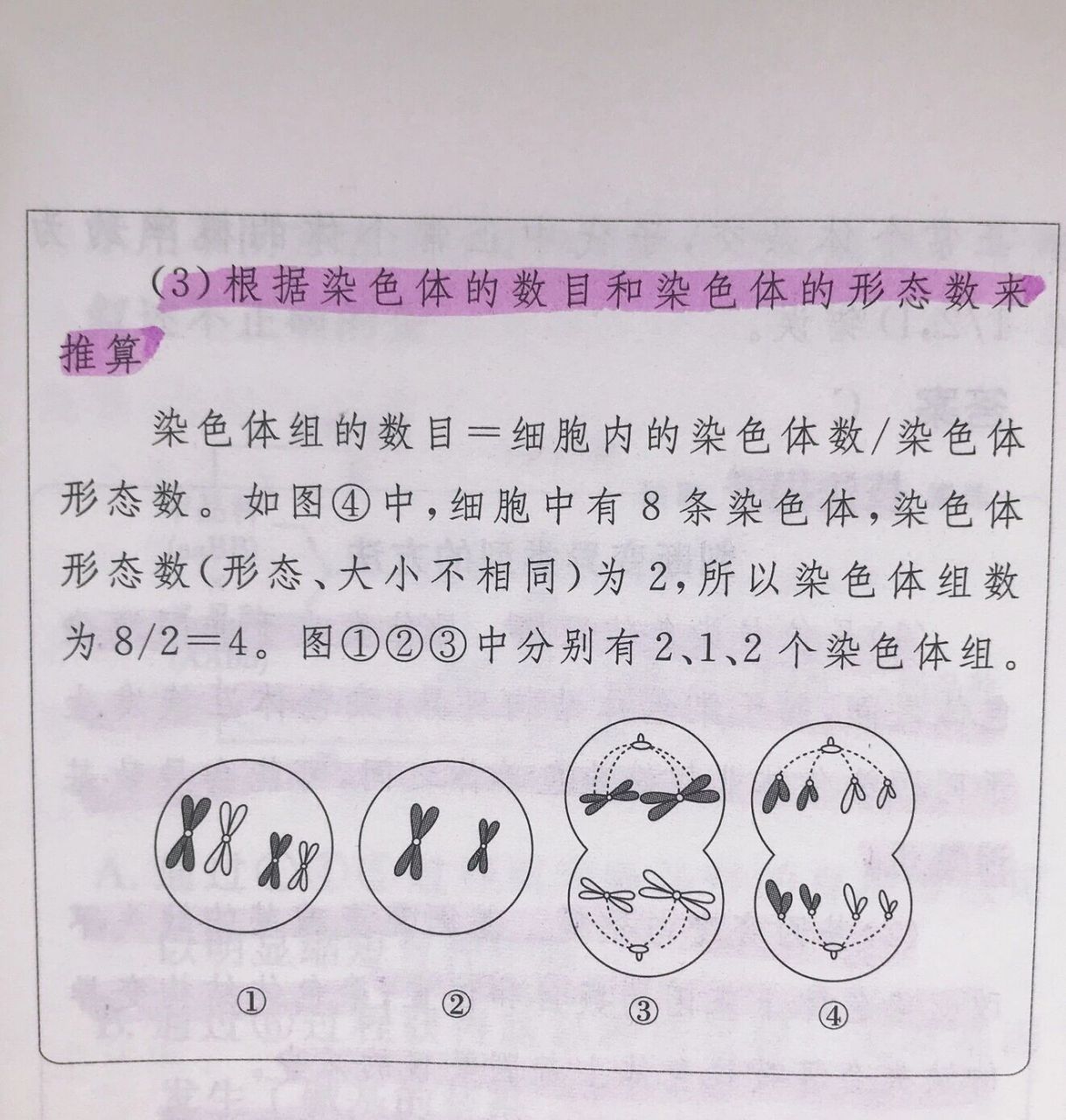 判断染色体组00的三个常用方法   判断染色体组的三个常用方法 (1)