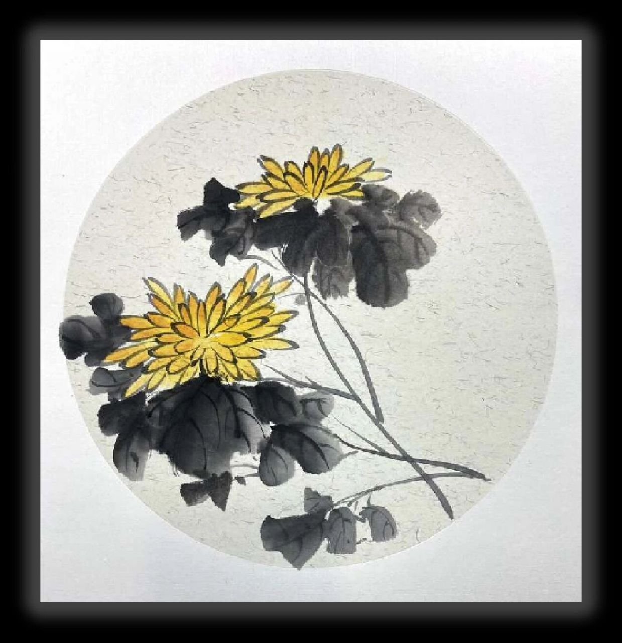 初学者画菊花——国画教程步骤图 菊花:第一遍染色用藤黄 第二遍用