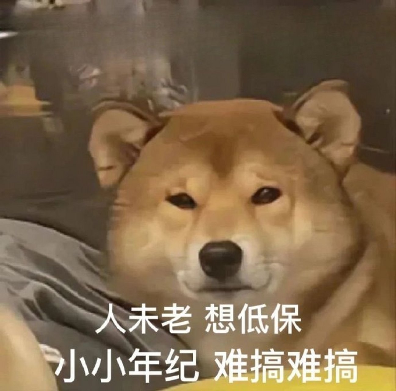 丰富一下表情包   #朋友圈文案# #文案# #表情包