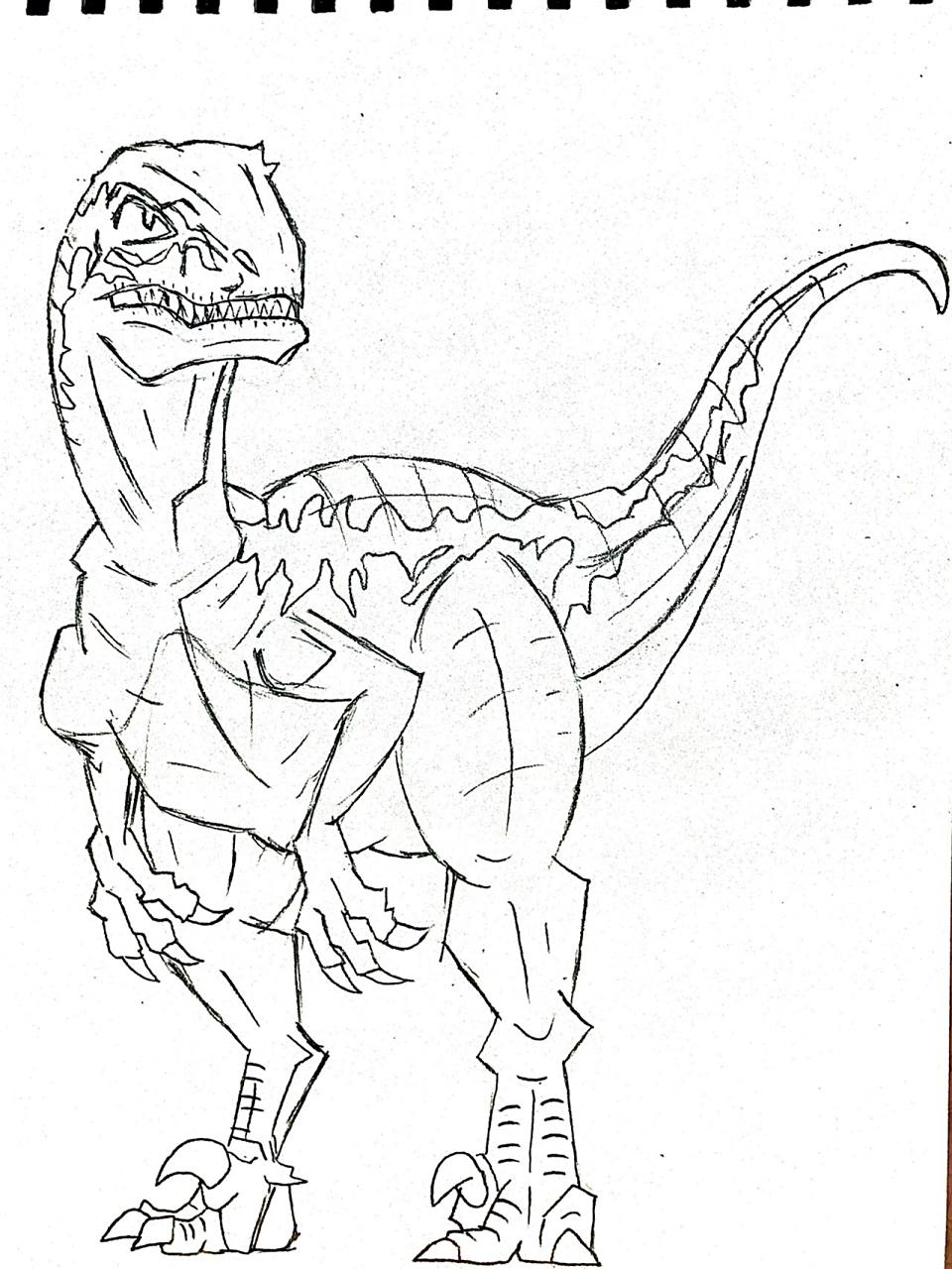 迅猛龙 简笔画 谢谢大家