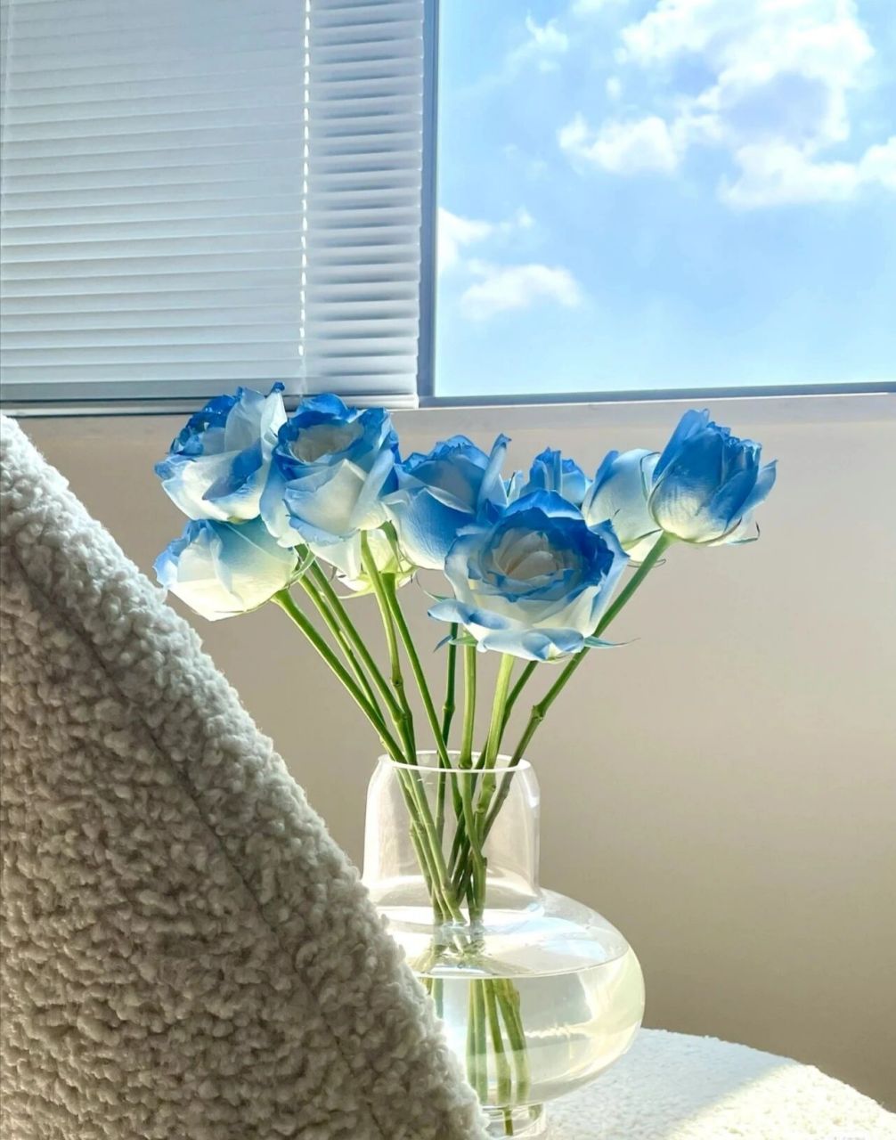 蓝色冰玫瑰图片 (000002076609000206) 冰玫瑰合集