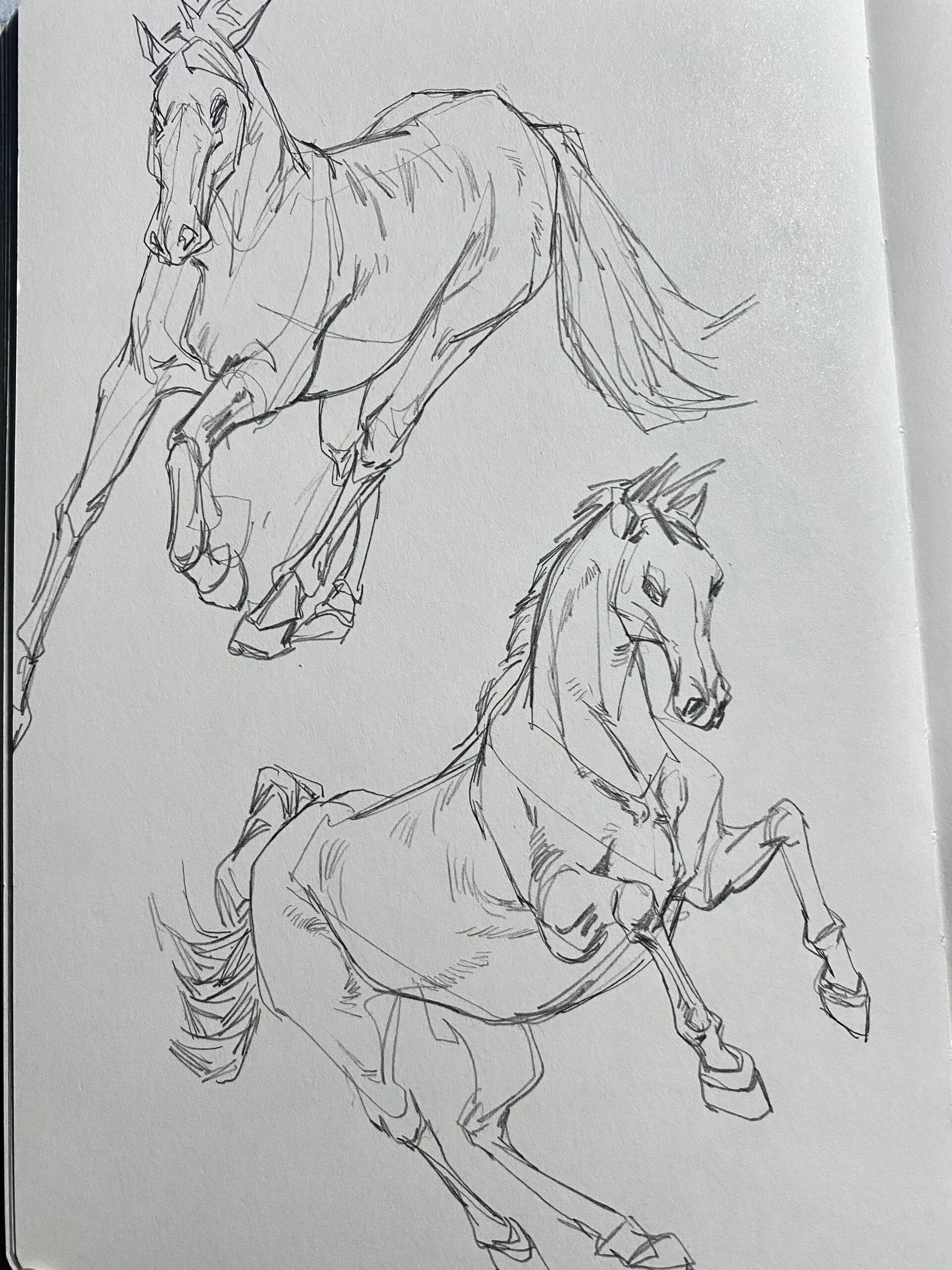 3自动铅笔 📒:conceptum素描本a5 📺:b站有过程