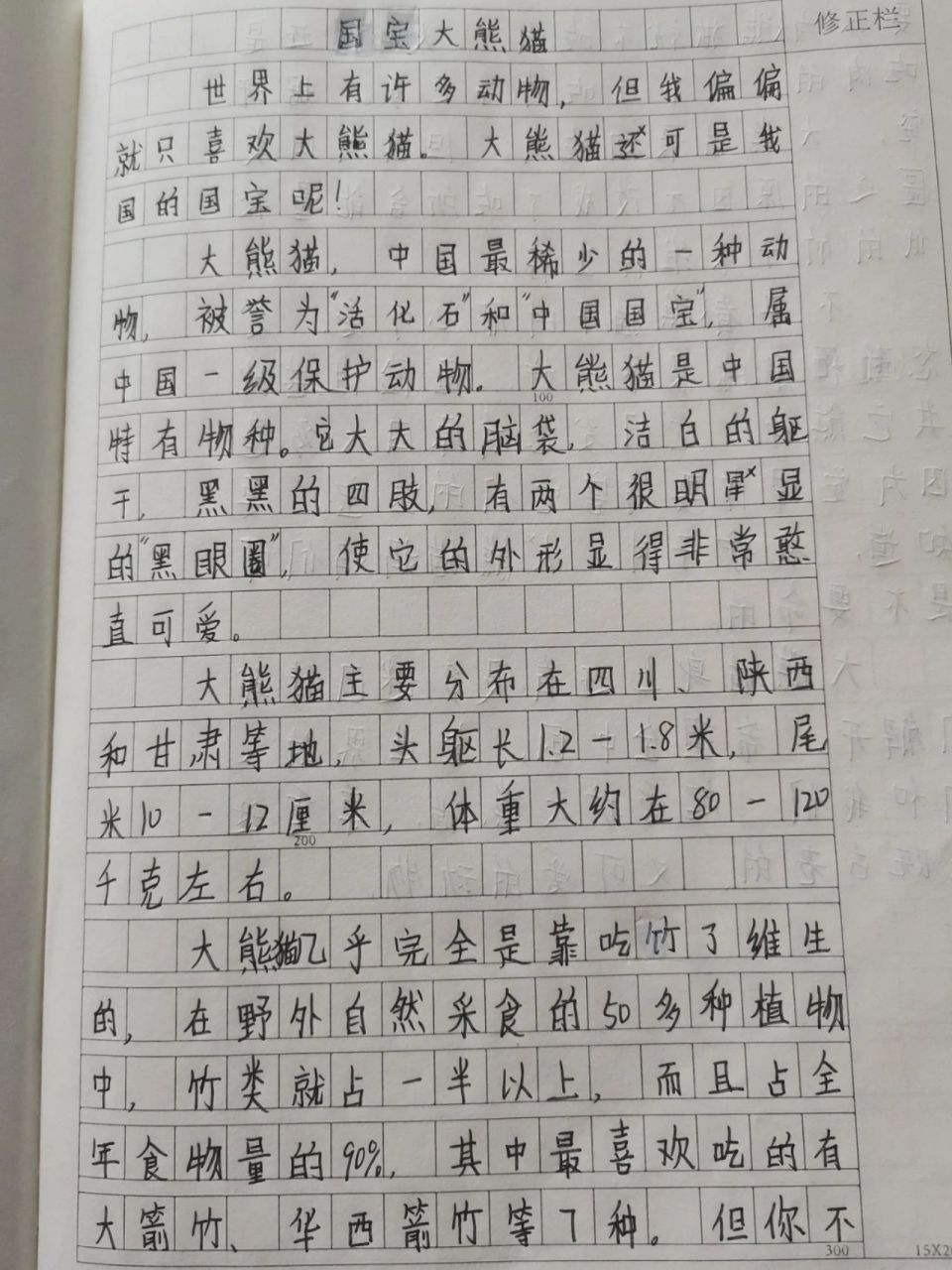 国宝大熊猫作文