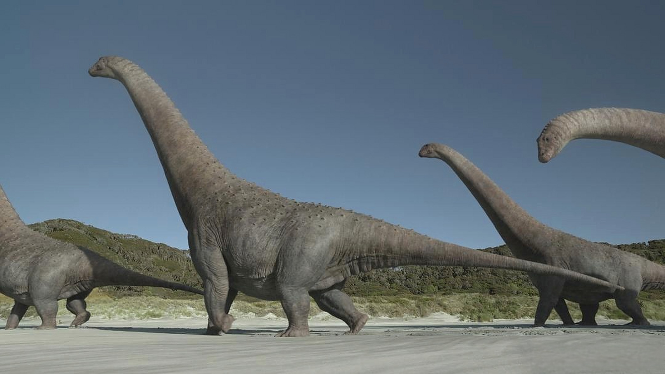 《史前星球》第二季来啦!豆瓣评分9.5,来看看可爱的大恐龙们吧!